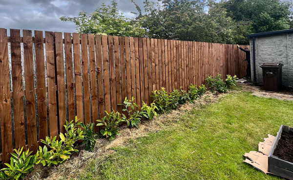 wooden fence in garden with low shrubs and grass showing landscaping design 2 plants 2 features