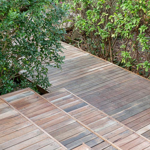 wooden pathway surrounded by greenery natural landscape garden design